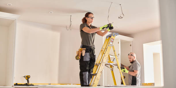 Best Electric Panel Repair  in Lakin, KS